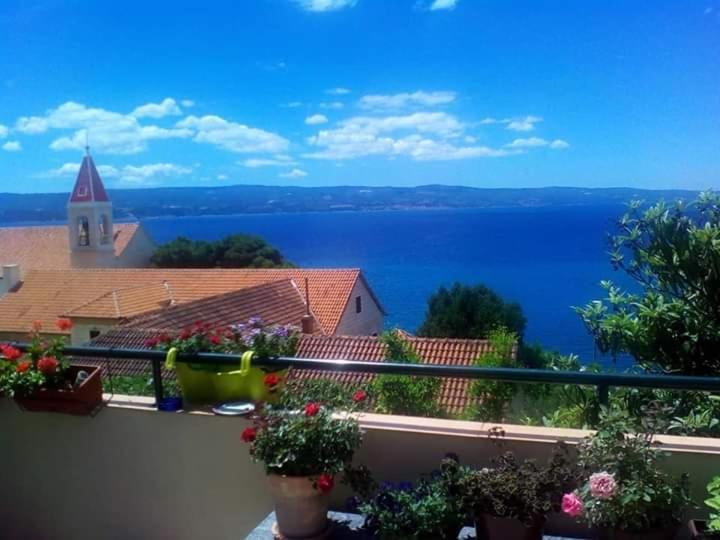 Judita Omiš Екстериор снимка